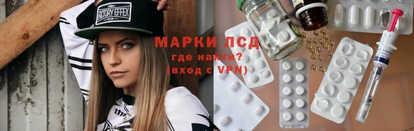 сатива Алзамай
