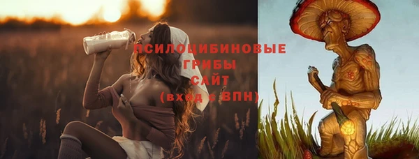 гашик Инта